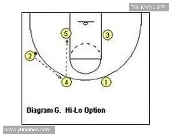 杭州排球队快攻战术解析与实战应用探讨
