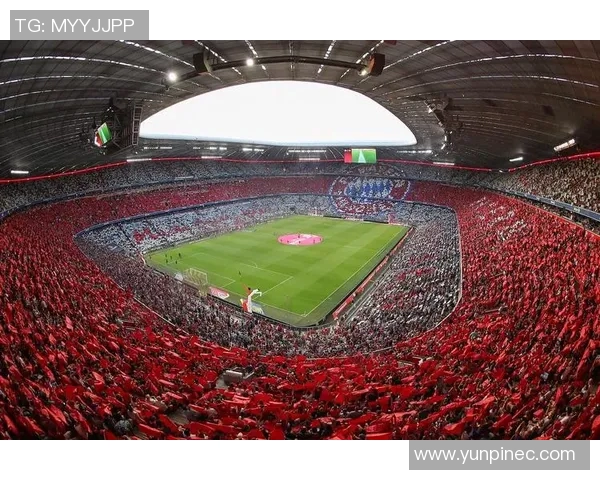 球场中心，聚焦激情与荣耀：探索体育竞技背后的精神与力量