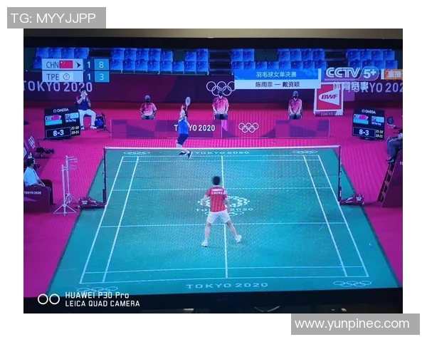 西安羽毛球队控制打法的深度分析与战术探讨