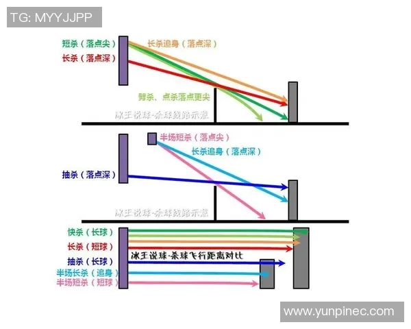 杭州篮球队的节奏体系解析与战术创新探讨