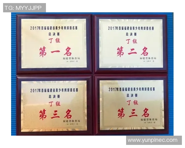 南京网球队与北京网球队个人能力对比分析赛后复盘
